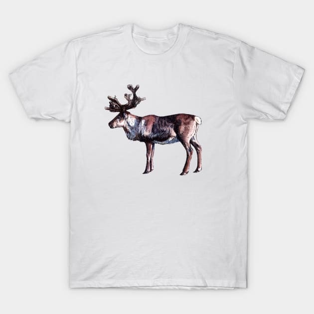 Reindeer - Watercolor and Ink Illustration T-Shirt by AquarellChill